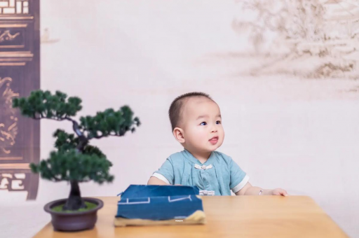广州代怀试管生子十五个月宝宝发育标准